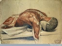 Image for question 4